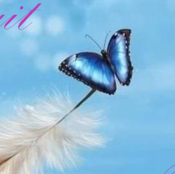 L’âme agit de Flo