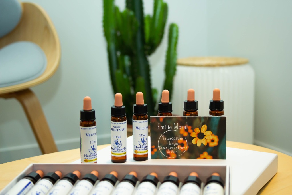 photo activite EMILIE MOREL NATUROPATHE 