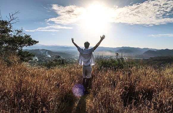 photo activite Laurence Wolsfelt