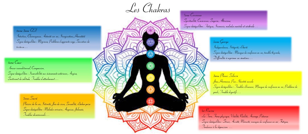 photo portrait L’Eveil du colibri 