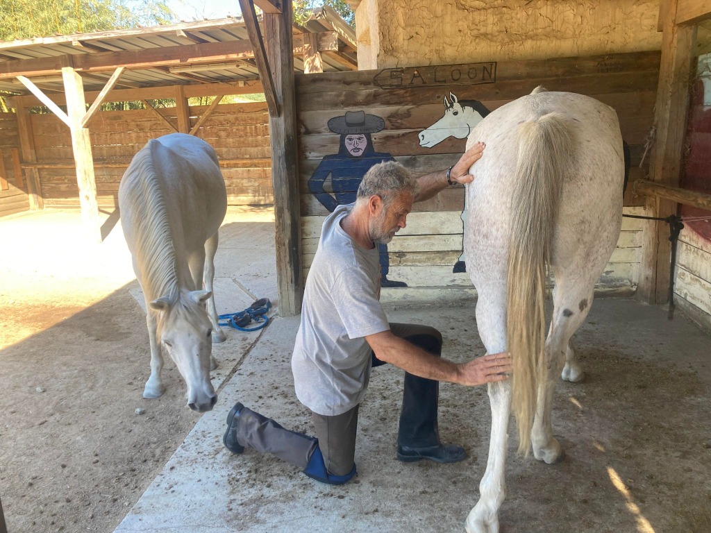photo activite Stephane valette