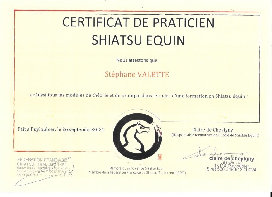 photo diplome Stephane valette