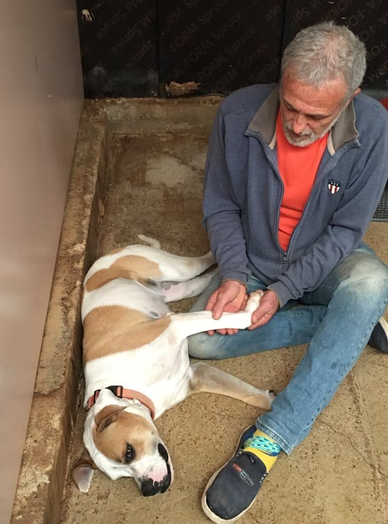 photo seance Stephane valette