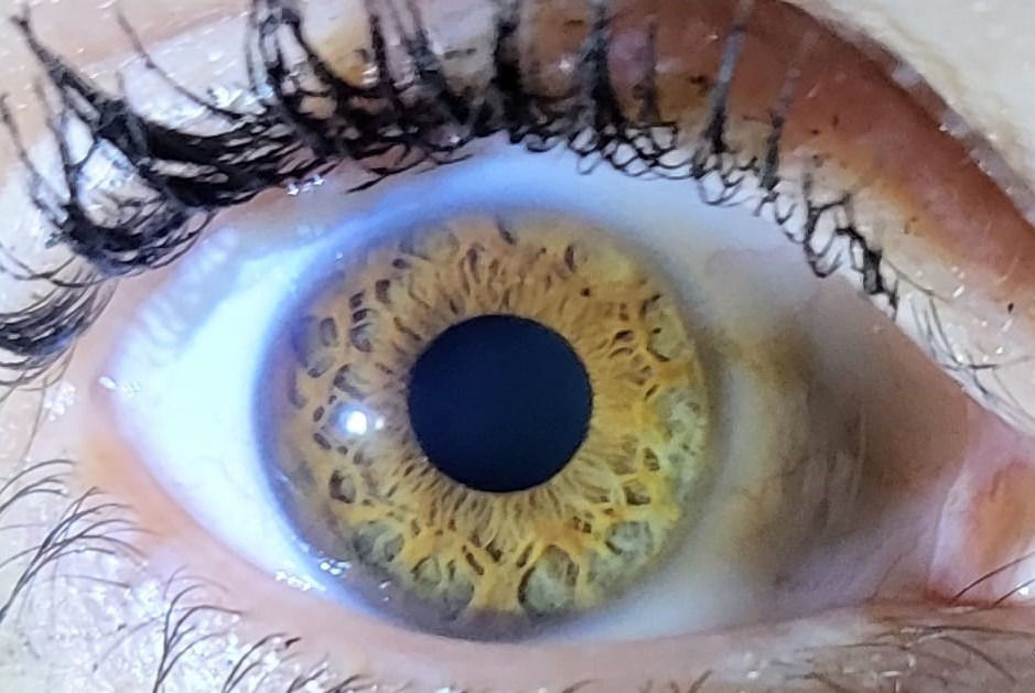 photo activite SEGUY Anne-Marie