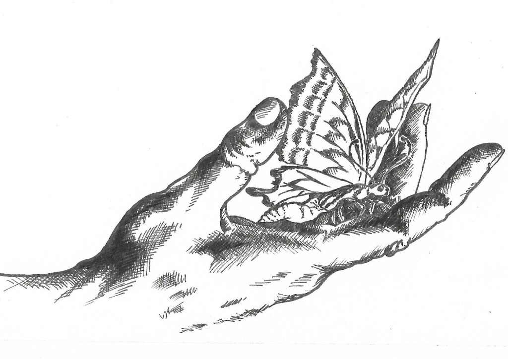 photo portrait André Coué