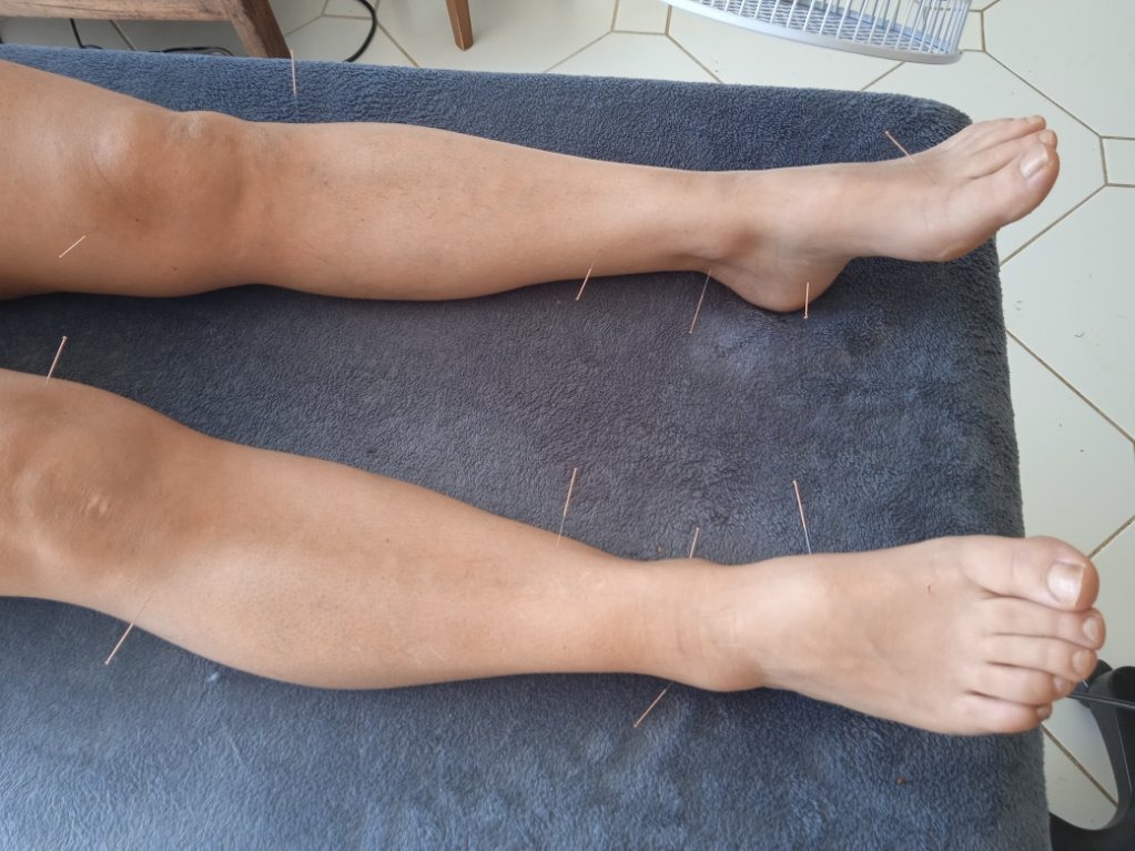 photo activite Alain CHENAULT