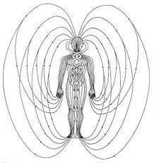 photo activite Laetitia BELLIONNET