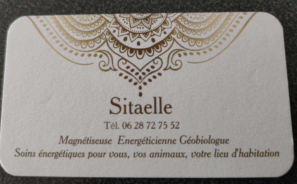 photo portrait Sitaelle