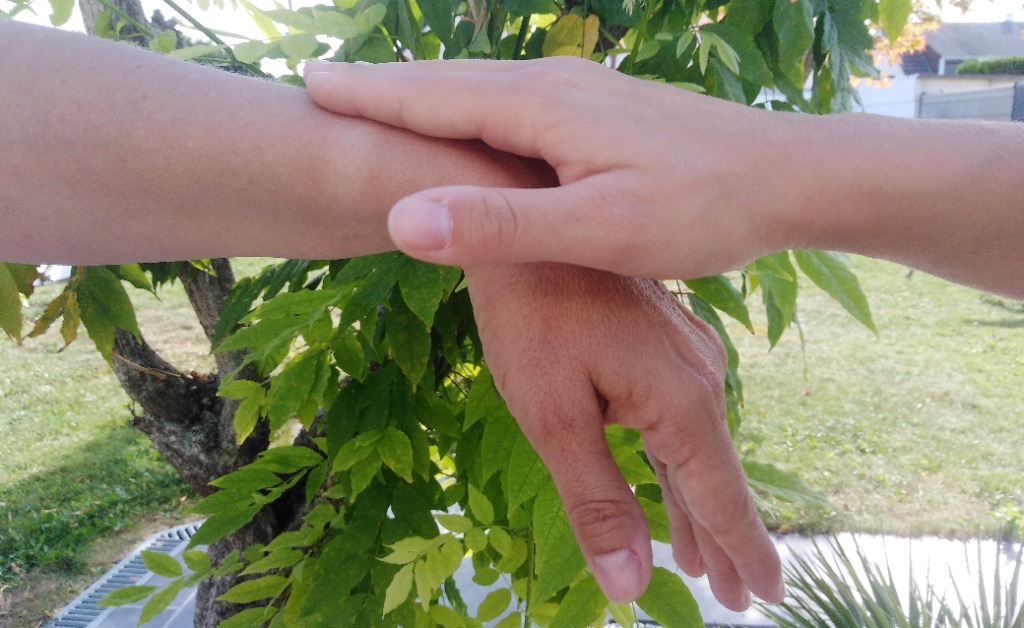 photo seance Elodie HARS Kinésiologue