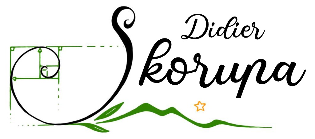 photo cabinet Didier SKORUPA