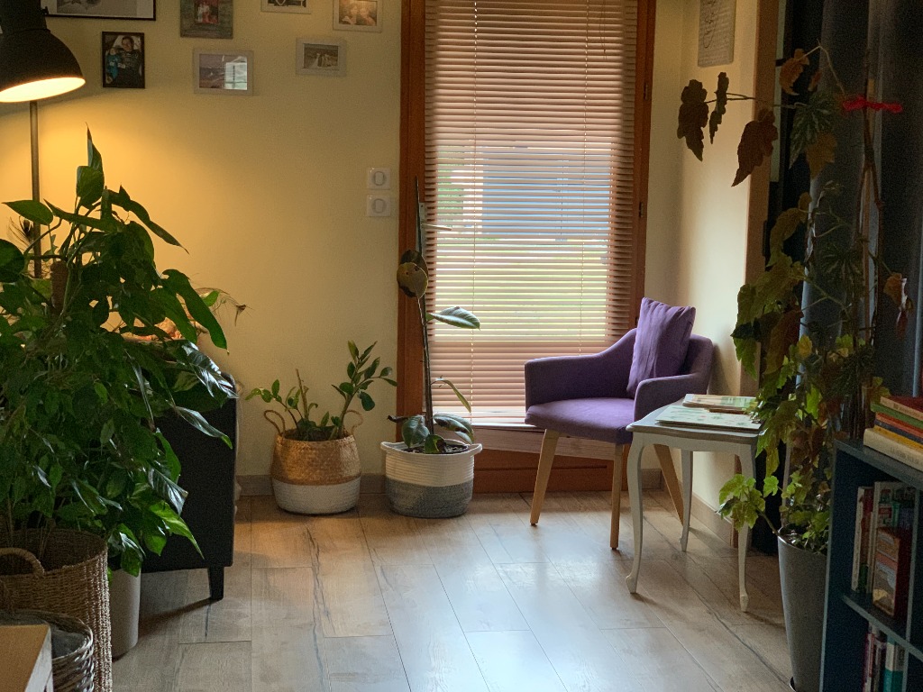 photo activite Telma Joly