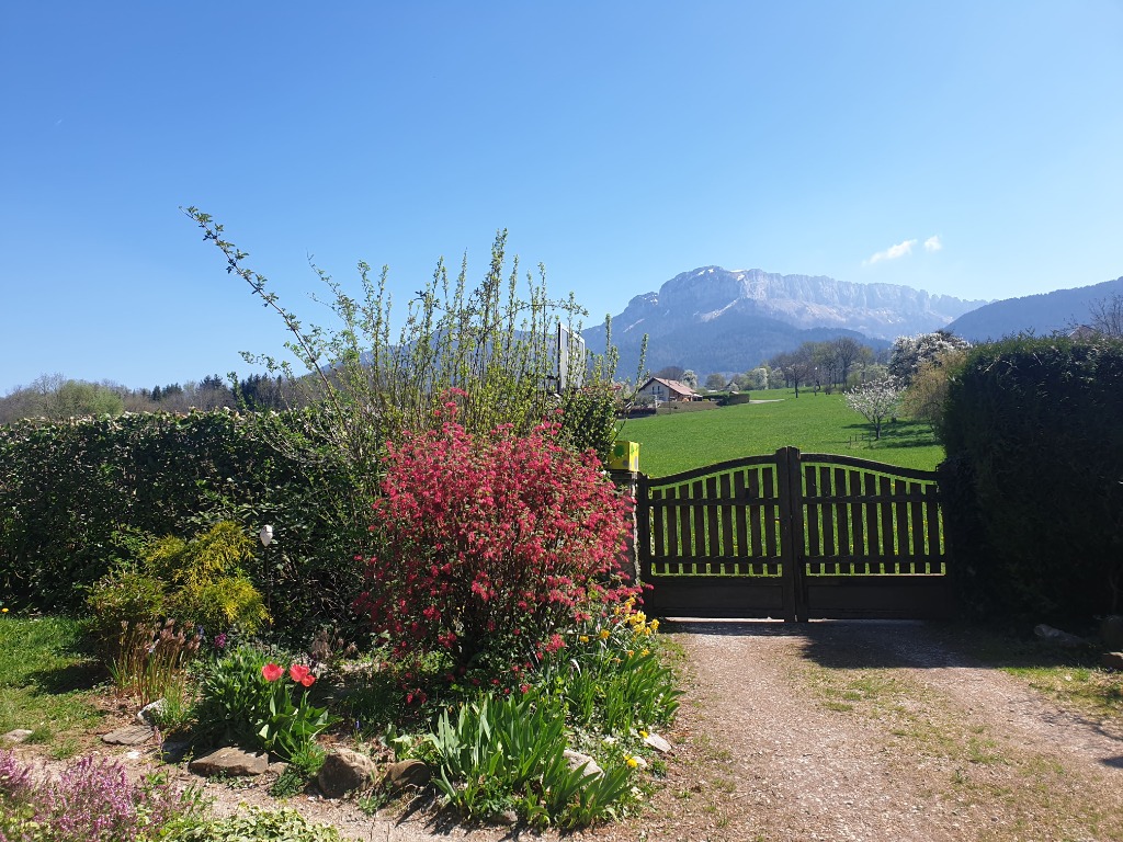 photo cabinet Catherine Debray Hypnose