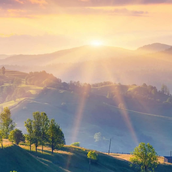 Massages psycho-émotionnels tantriques