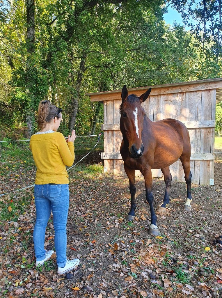 photo seance L’énergie de l’instant T.