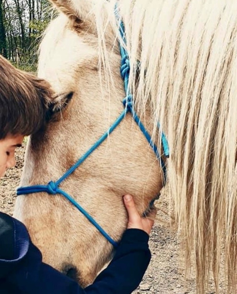 photo seance Equivia Equithérapie