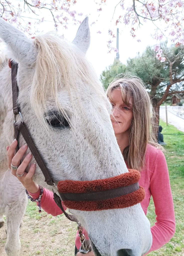 photo activite L’envol du Papillon - Soins énergétiques