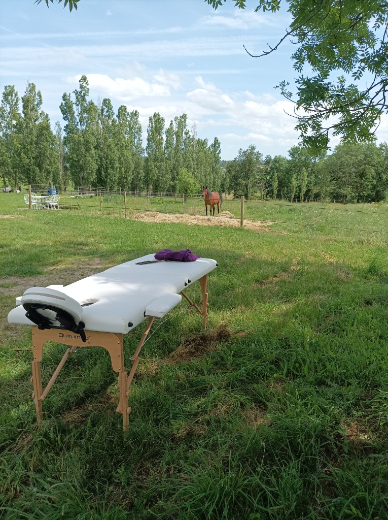 photo seance L’envol du Papillon - Soins énergétiques