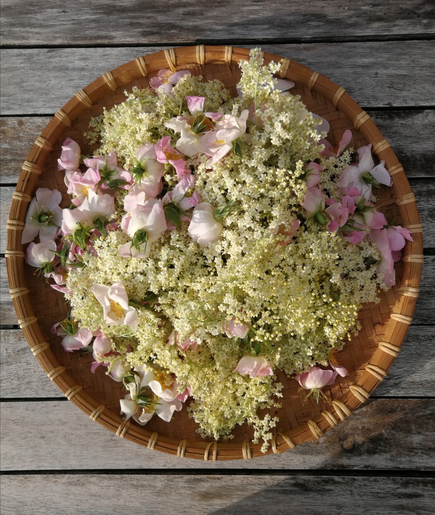 photo activite Marie-Laure PLOGER Naturopathe