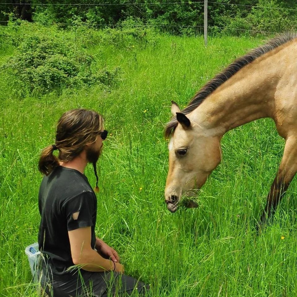 photo seance Poney club de st pantaly d’excideuil