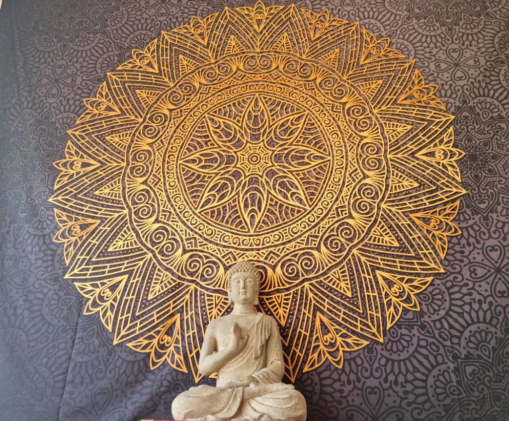 photo portrait Stevenson LANI