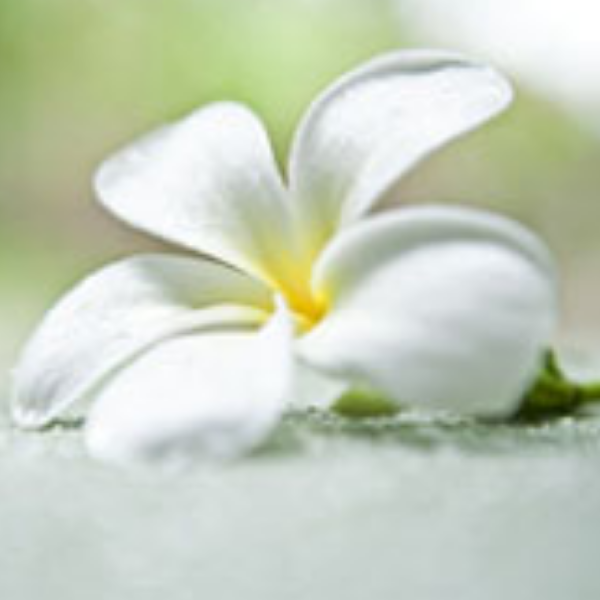 Séverine Laroche-Roule