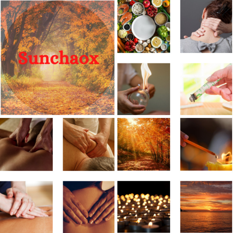 photo activite Anne Elisabeth Van Roomen