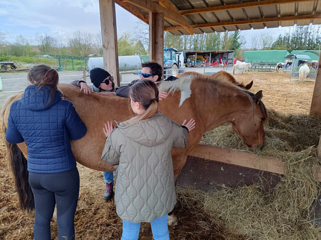 photo seance Théo Chevreuil