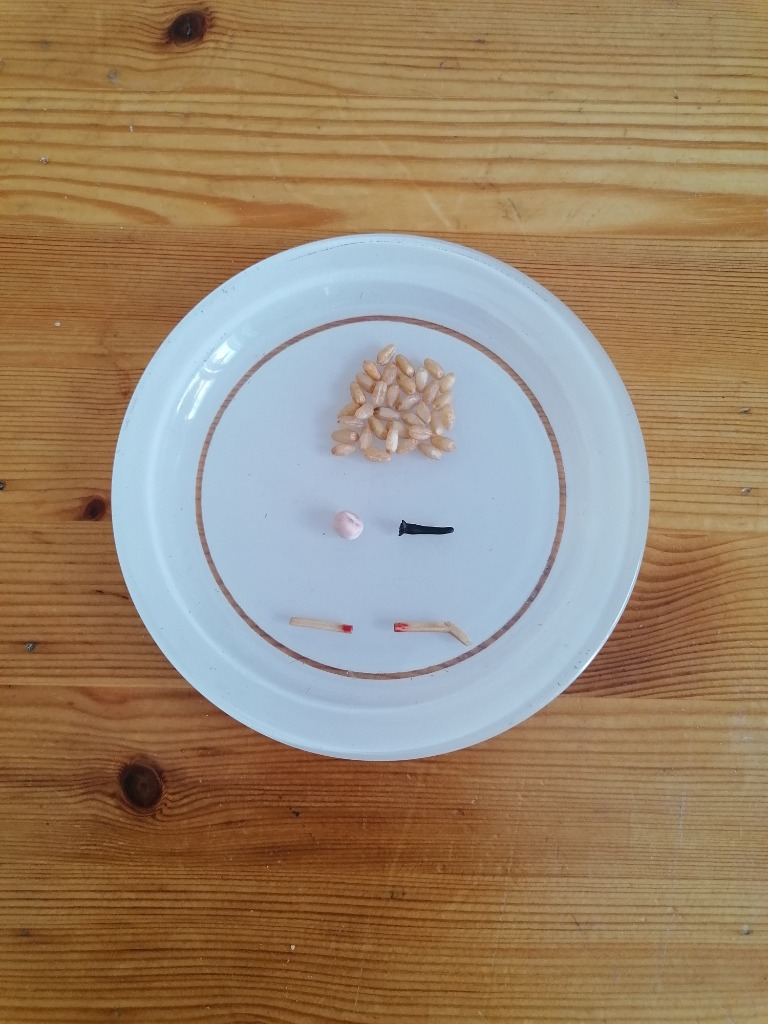 photo seance COVAS Voyance Coaching Magnétisme