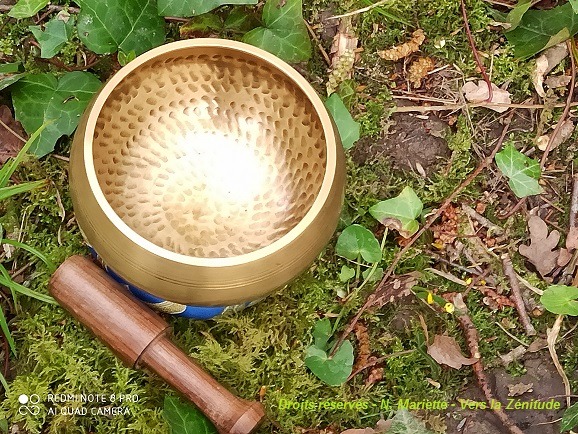 photo activite Nathalie Mariette