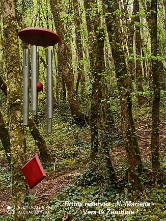 photo seance Nathalie Mariette