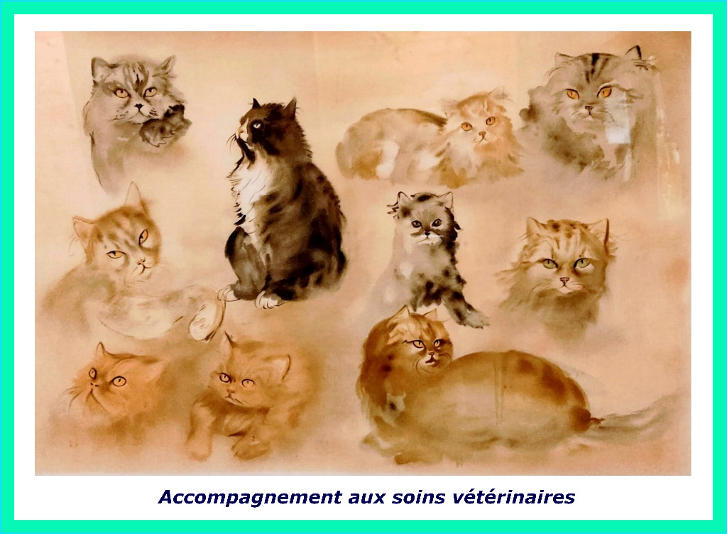 photo activite Corinne Courlet 