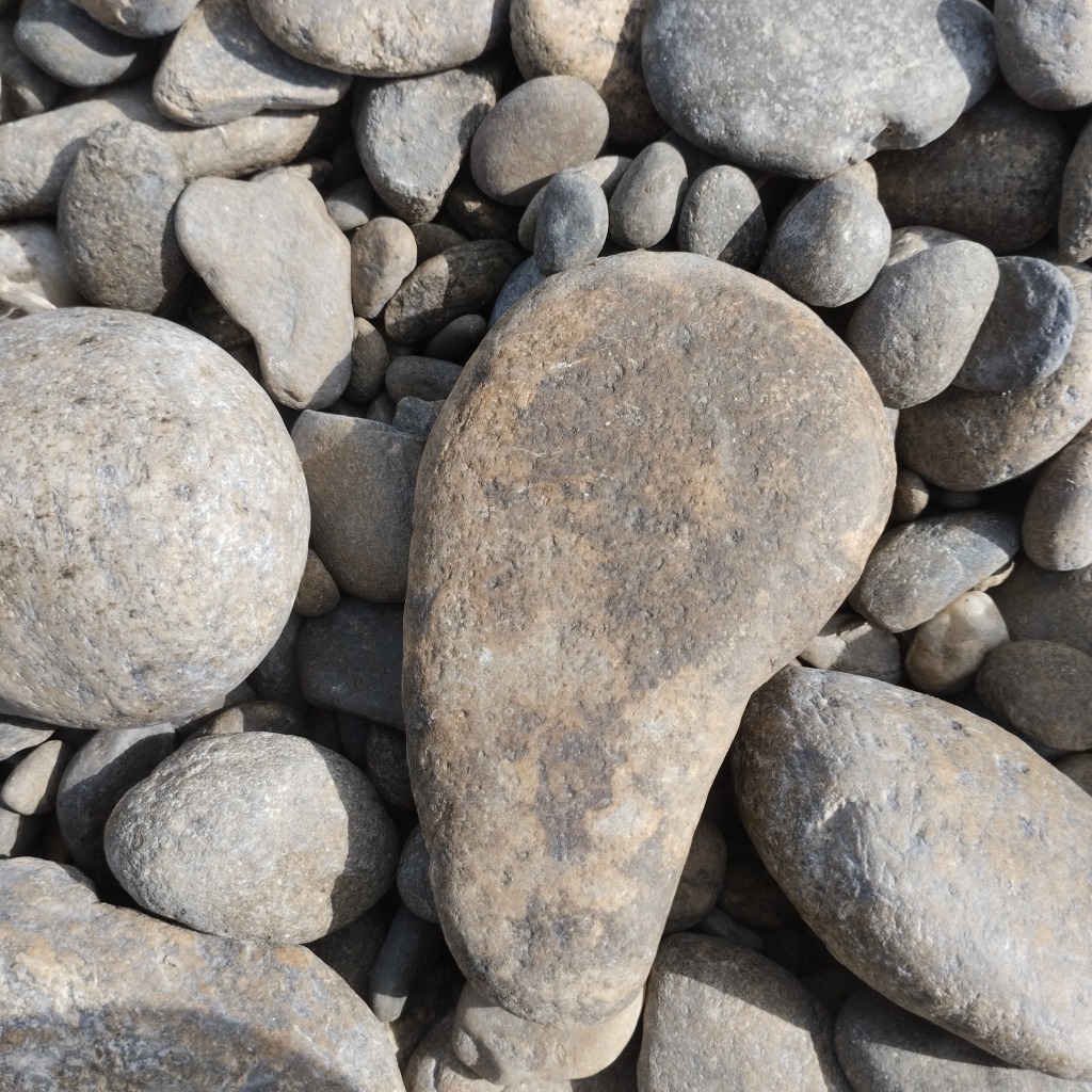 photo activite Alicia Lemaître