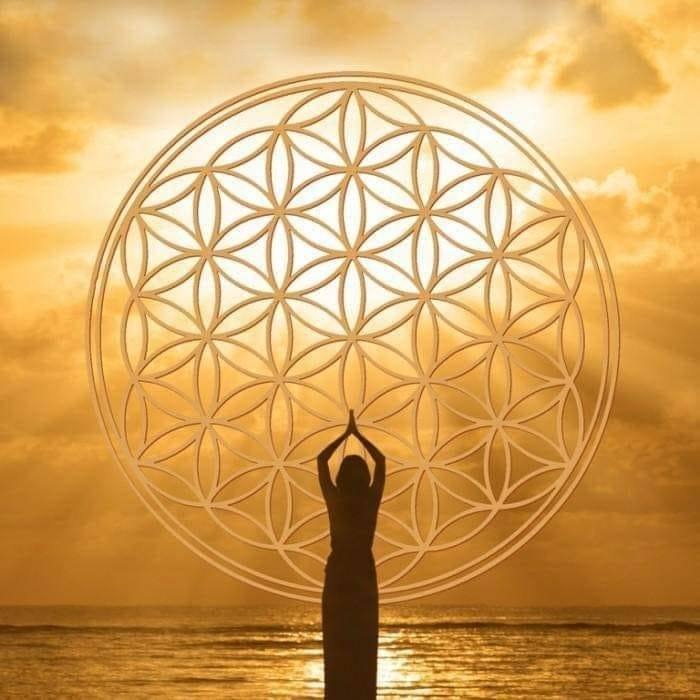 photo cabinet Lyne Derose