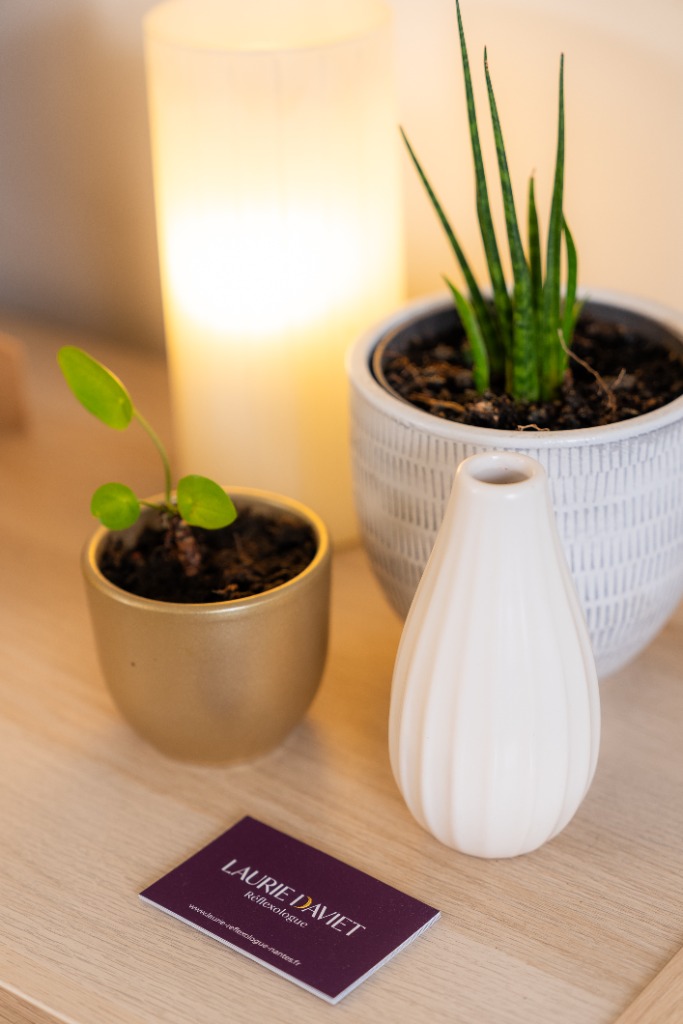 photo seance Laurie Daviet, Réflexologie combinée