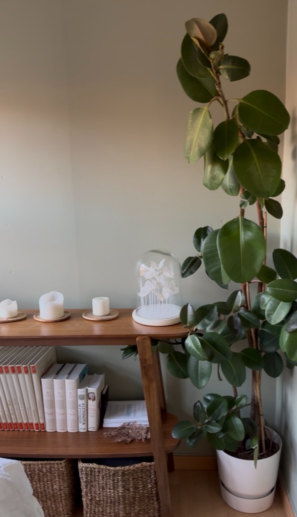 photo cabinet RENCIOT Julia