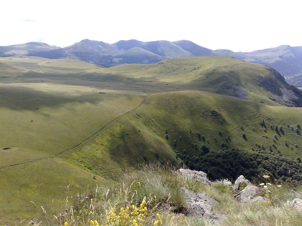 photo cabinet Seddy LEHOUX