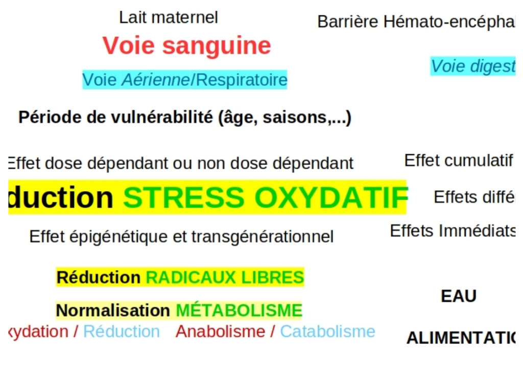 photo portrait Seddy LEHOUX