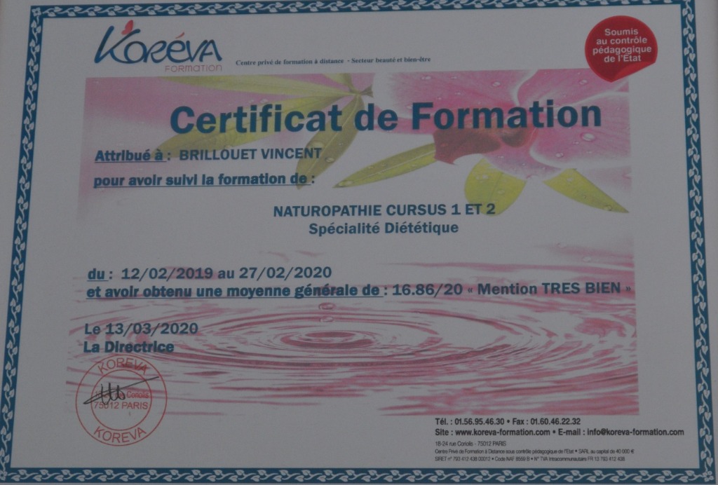 photo diplome Vincent Brillouet