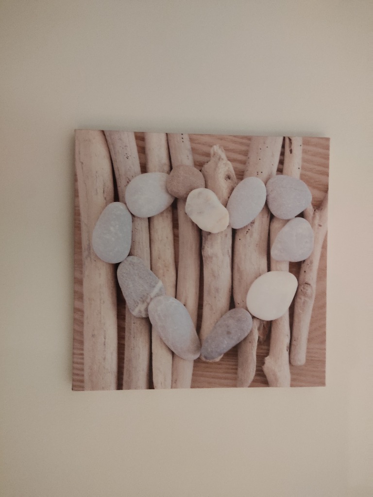 photo diplome Sebastien VIALLY