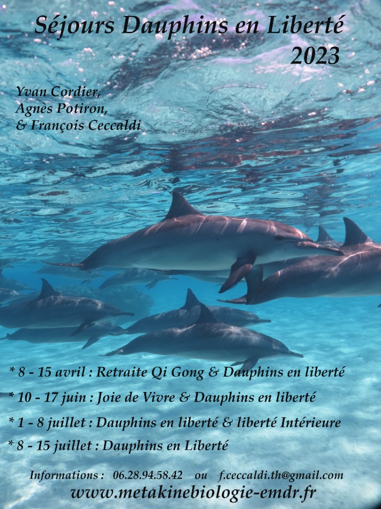 photo activite Francois Ceccaldi