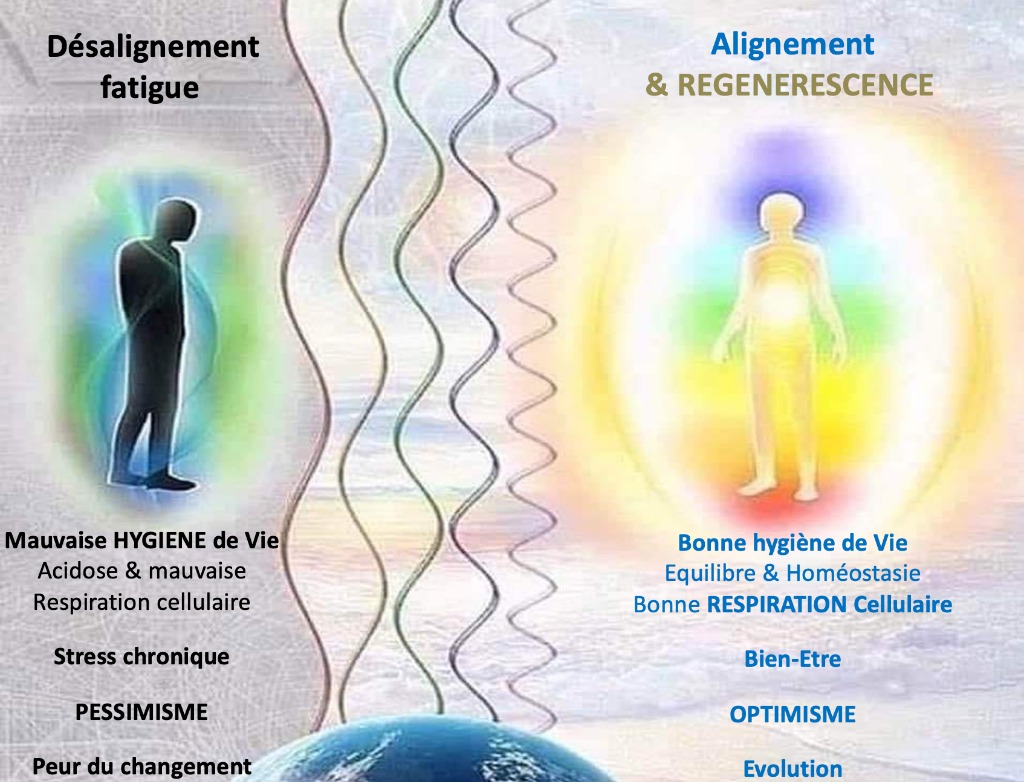 photo activite Nicolas PASQUAL  Coach de Vie & longévité