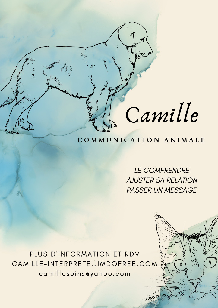 photo activite Camille - communication animale