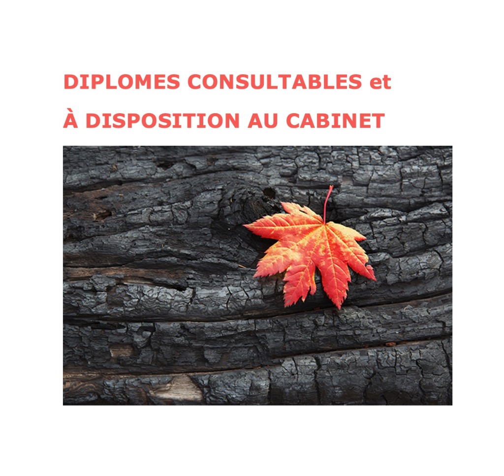 photo diplome SALIBA Dominic