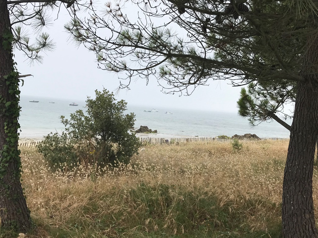 photo activite Sophie Sayah