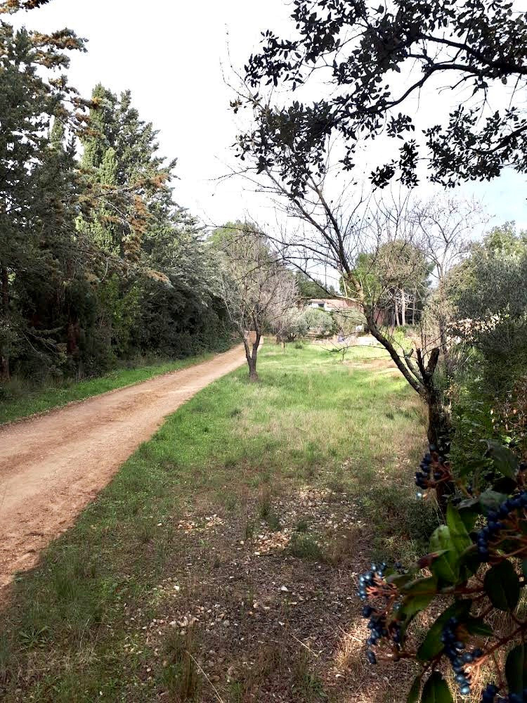 photo activite Marie Chevalme