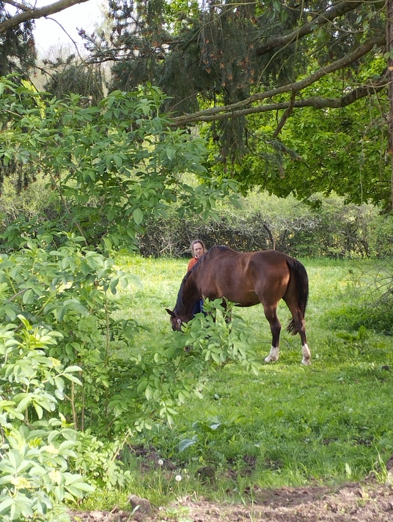 photo seance Boutron Gregory 