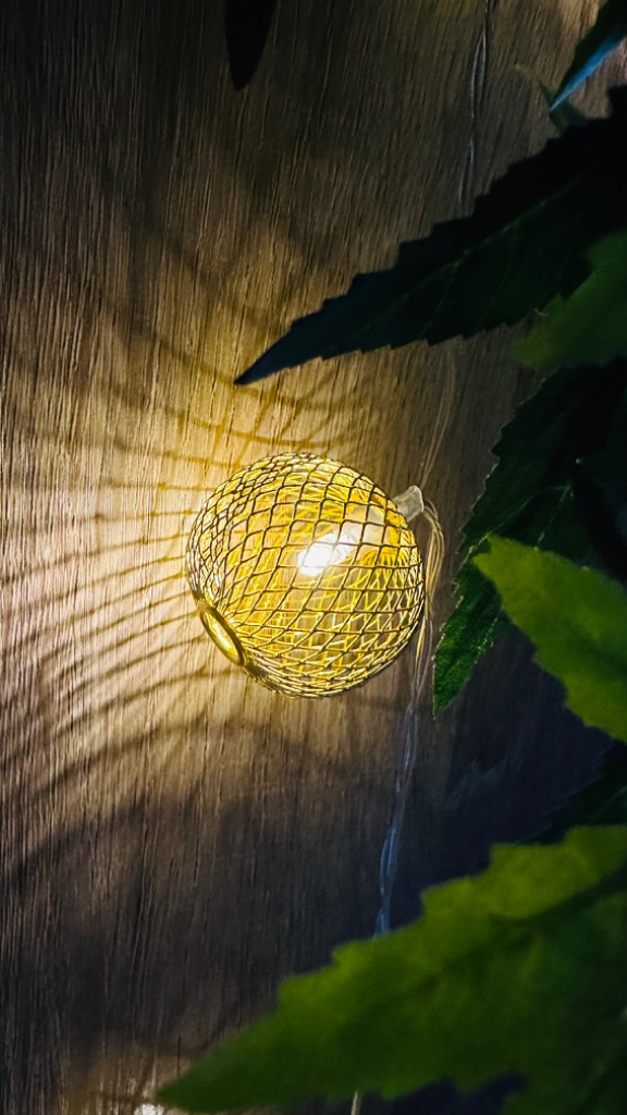 photo portrait David Rochetti Sophrologue Évreux