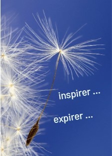 photo activite Yamina OURAMDANE