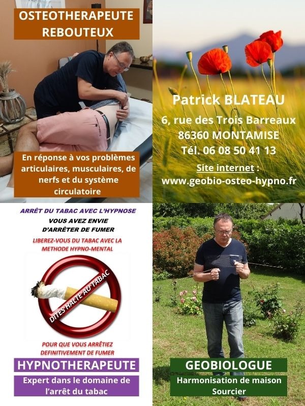 photo diplome Patrick BLATEAU