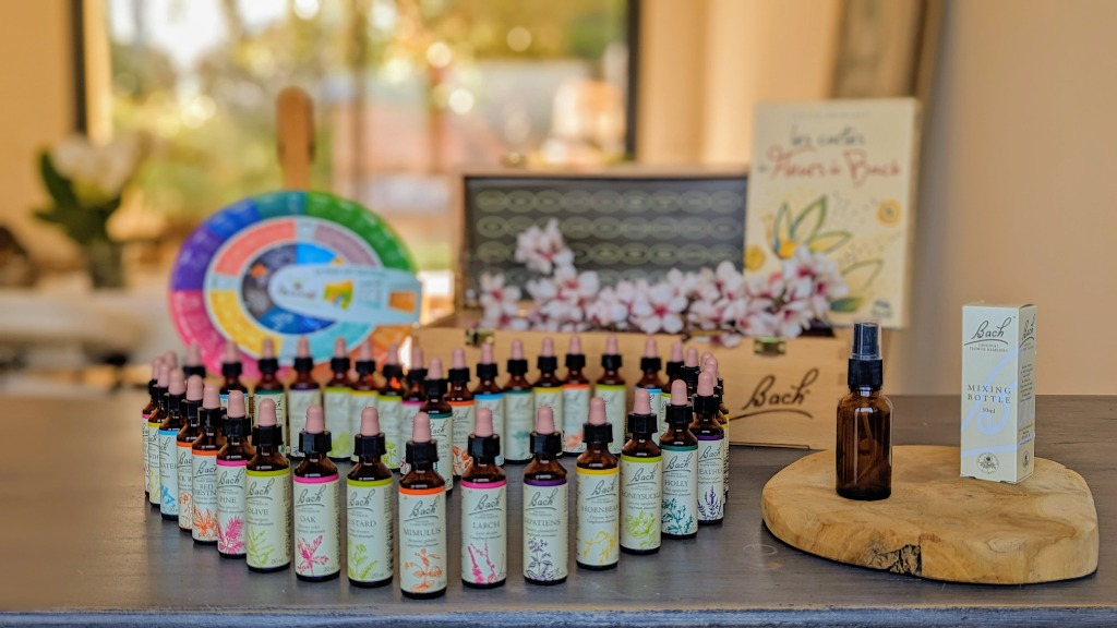 photo activite Bakhta Blanc